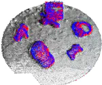Scale-Invariant Fast Functional Registration